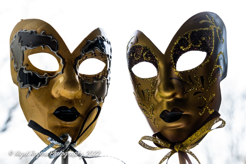 masquerade ghosts by nigelrogers