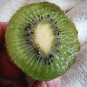 10th Mar 2022 - Green Kiwi Fruit