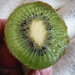 Green Kiwi Fruit by spanishliz
