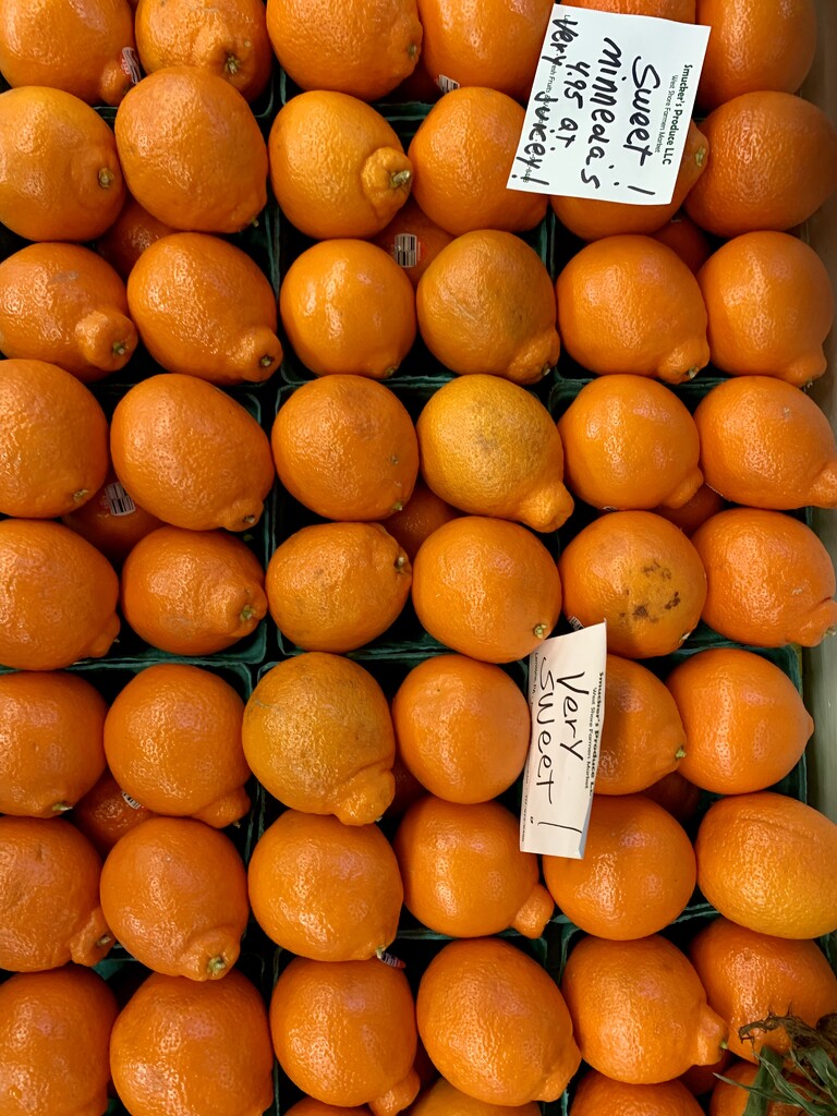 Orange 2 by beckyk365