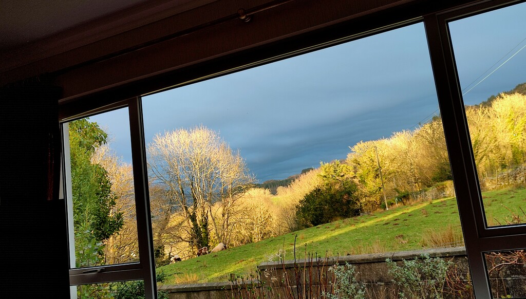 Window View by countrylassie