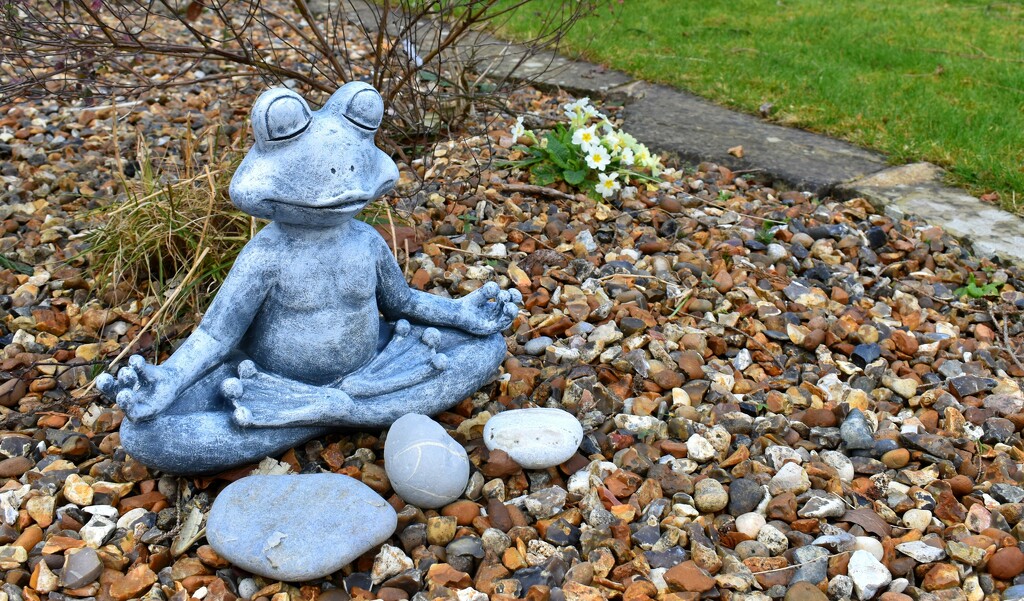 A bit of Zen in my garden by anitaw