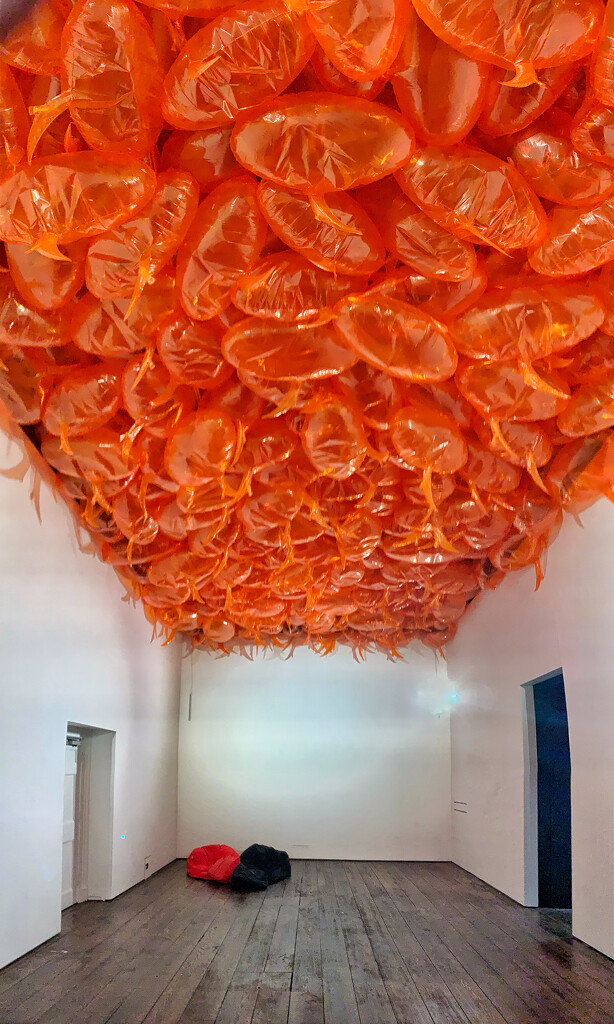 Orange balloons.  by cocobella