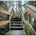 Neck Point Stairs by jnr