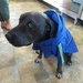 Ellie In Her Raincoat  by mozette