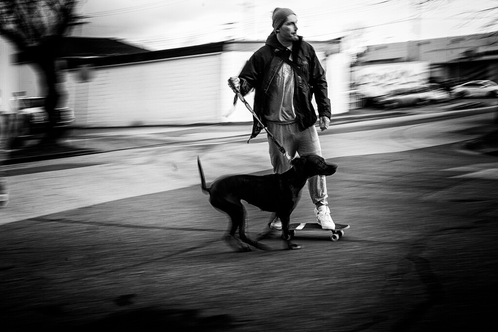 Walkin' the Dog, Skateboy Style by cdcook48