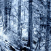 winter etsooi edit by joysabin