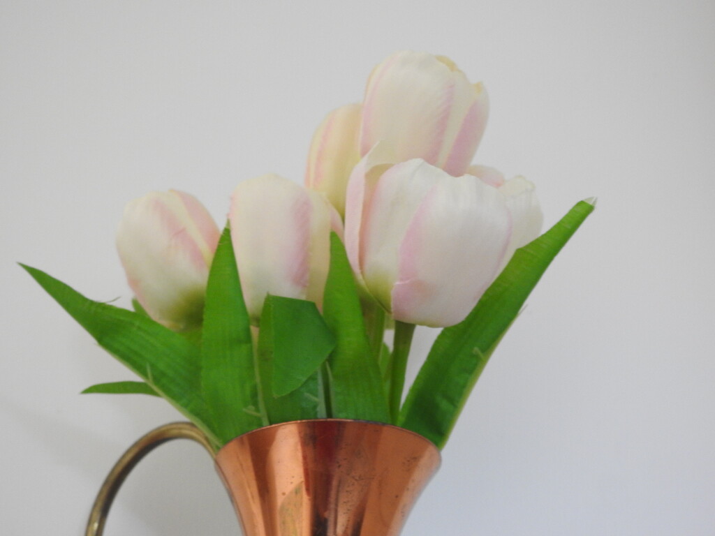 Tulips by jeneurell