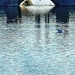 Watery Blue  by rensala