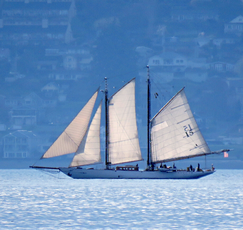 Sailing On Puget Sound by seattlite