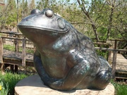 11th Mar 2022 - if this bullfrog had a name?