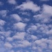 Blue Sky  by carole_sandford