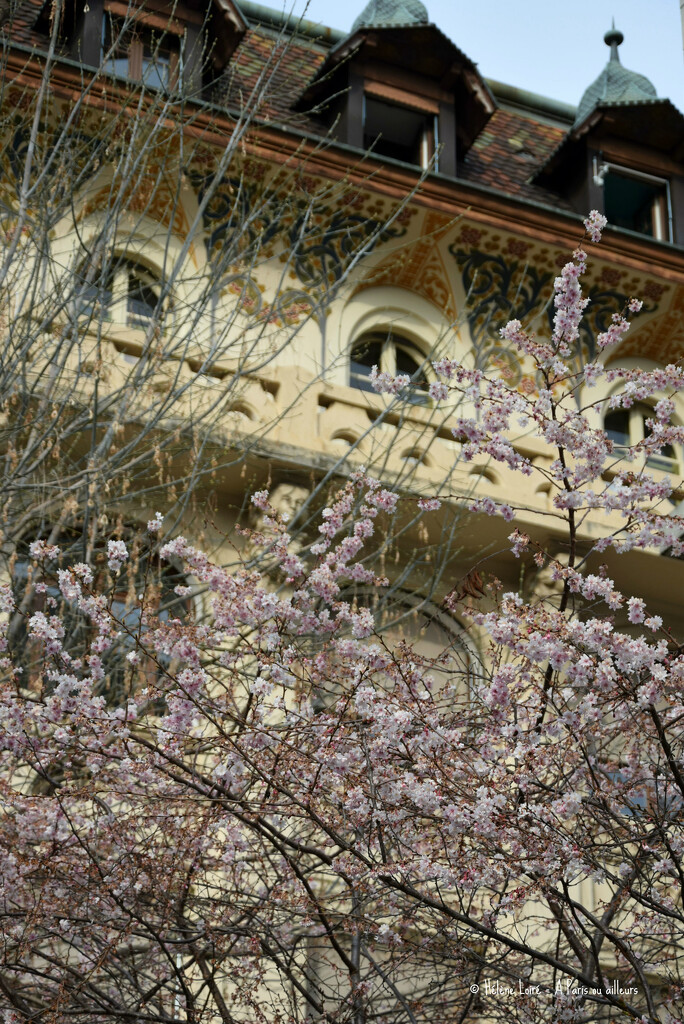 A taste of spring in Lausanne by parisouailleurs