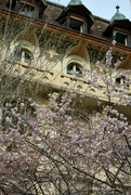 9th Mar 2022 - A taste of spring in Lausanne