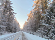 11th Mar 2022 - The road through winter wonderland