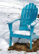 11th Mar 2022 - A Snowy Seat 