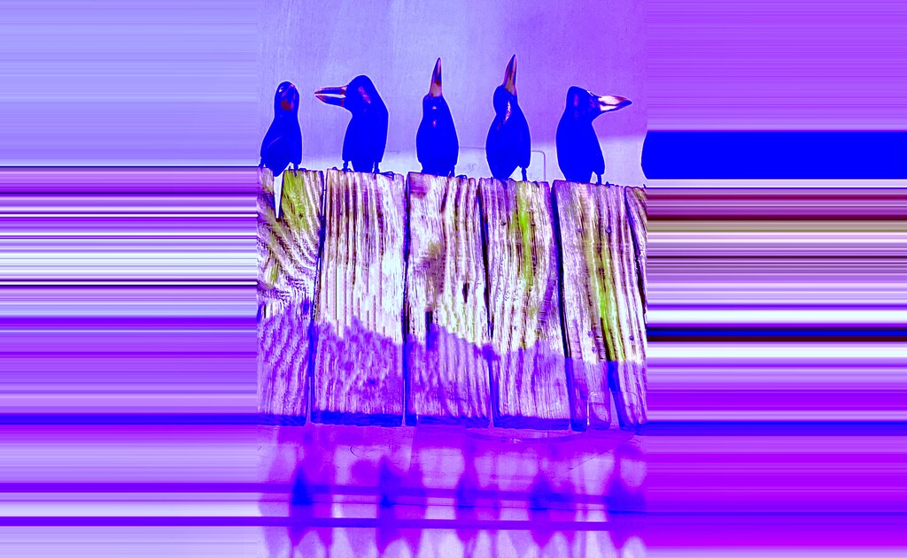 Indigo Purple Patterns - Crows  by rensala