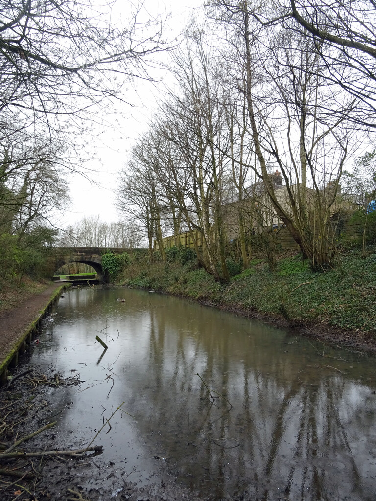 Walton Summit branch of Leeds Liverpool canal in centre of Whittle  by marianj