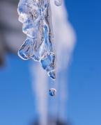 9th Mar 2022 - icicle