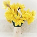 Delightful daffodils by tinley23