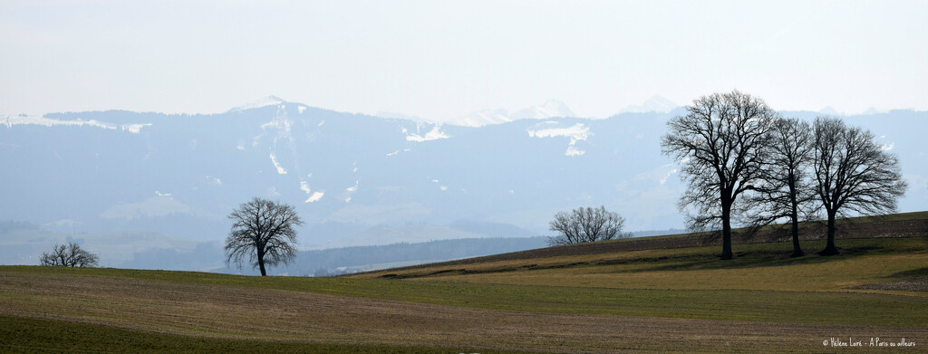 Switzerland from the car by parisouailleurs