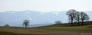 9th Mar 2022 - Switzerland from the car