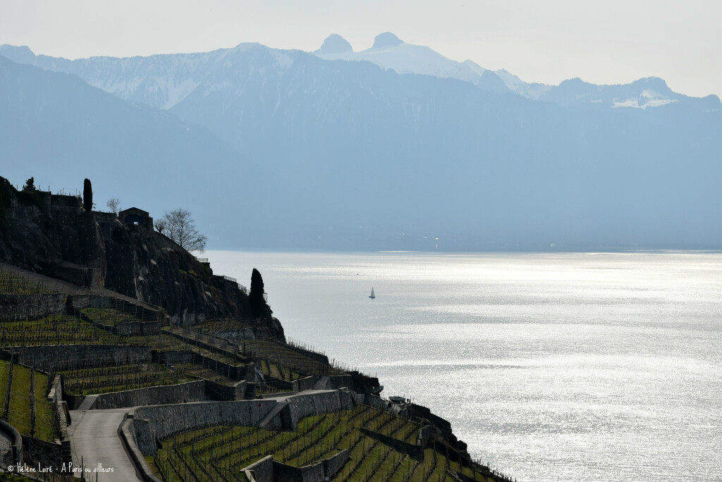 Leman lake from Chexbres, Switzerland by parisouailleurs