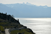 12th Mar 2022 - Leman lake from Chexbres, Switzerland