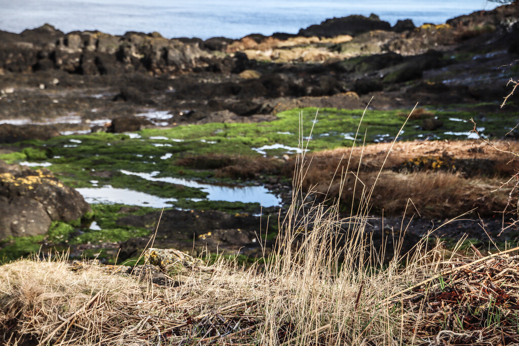 The rocky beach by nodrognai