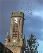 12th Mar 2022 - Church Tower and Pigeons