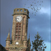 Church Tower and Pigeons by sanderling