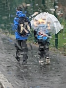 12th Mar 2022 - Walking to school in the rain