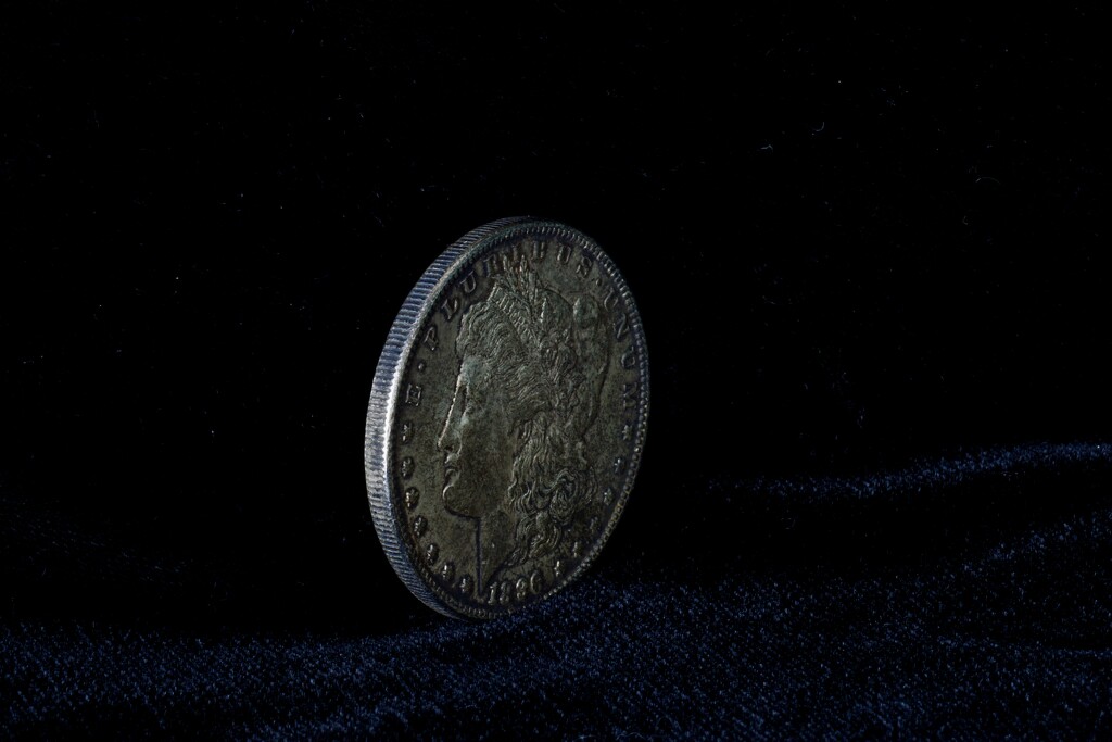 1896 silver dollar by amyk