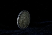 12th Mar 2022 - 1896 silver dollar