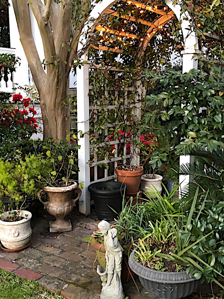 Charleston garden by congaree