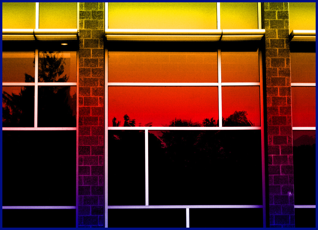 A Window to My World by olivetreeann