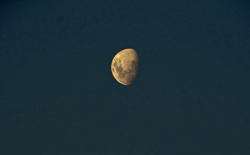 This is a 'waxing gibbous moon.. by maggiemae