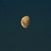 This is a 'waxing gibbous moon.. by maggiemae
