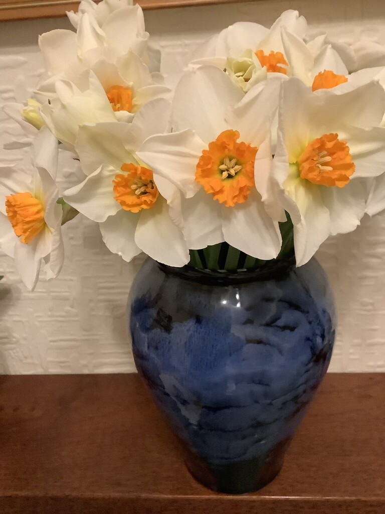 Daffodils in a Violet vase.  by maggiej
