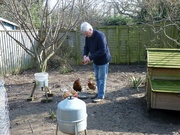 3rd Mar 2022 - Treats for chooks