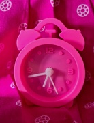 13th Mar 2022 - Pink Time