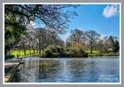 13th Mar 2022 - The Lake,Abington Park