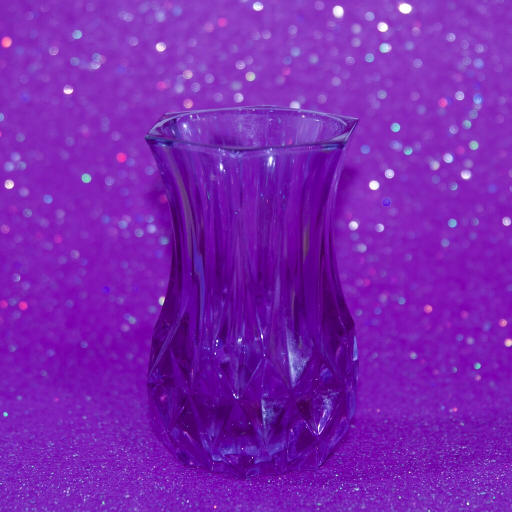 A Violet Vase For My Rainbow DSC_1140 by merrelyn