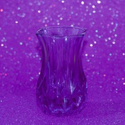 13th Mar 2022 - A Violet Vase For My Rainbow DSC_1140