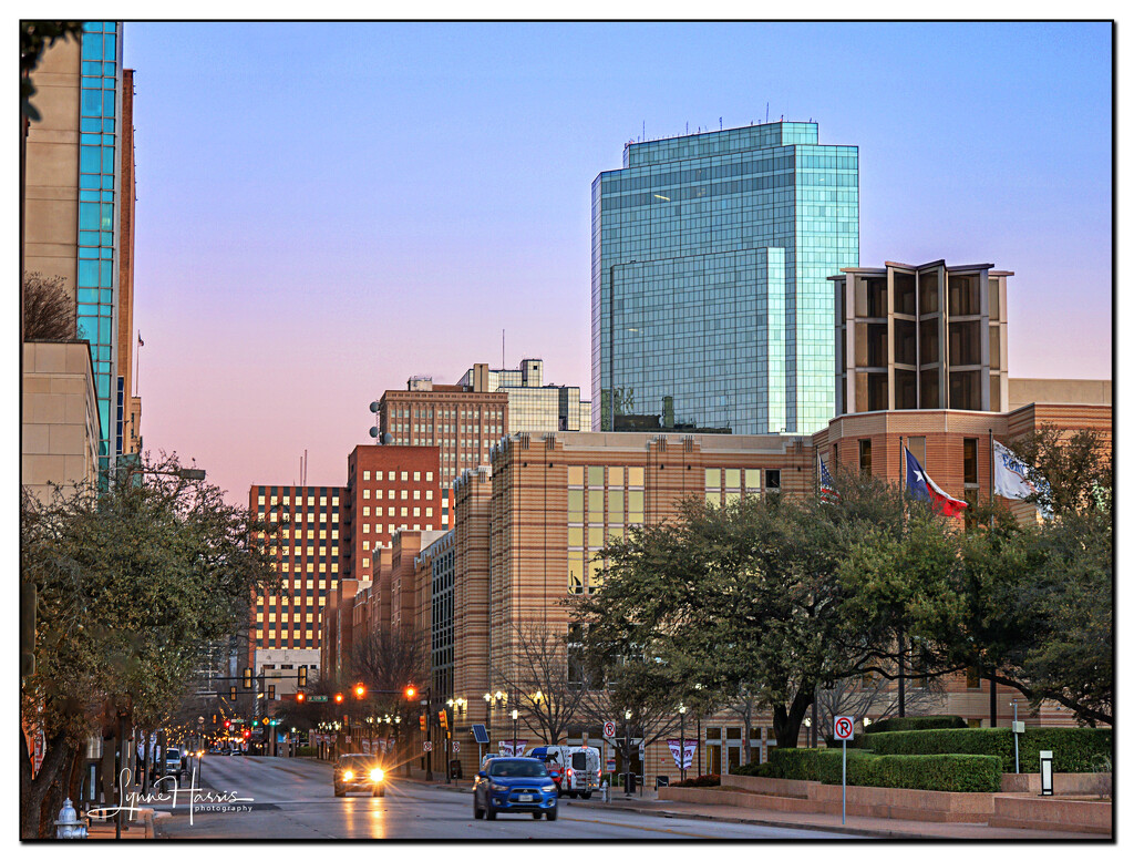 Early Morning in Fort Worth by lynne5477