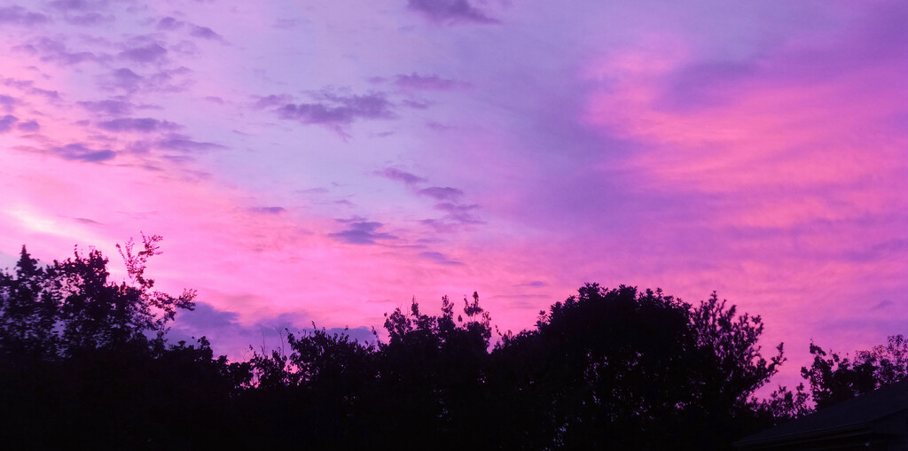 Pink Sunrise by linnypinny