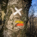 03-13 - Markings on tree by talmon