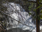 13th Mar 2022 - South Fork Waterfall