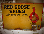 24th Jan 2022 - Red Goose Shoes