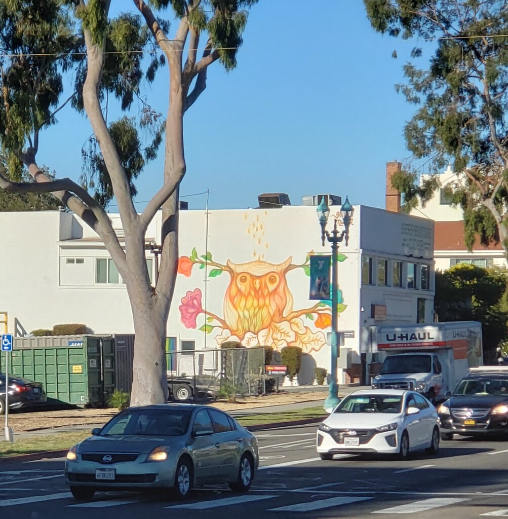 Owl Mural by mariaostrowski